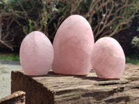 Polished Rose Quartz Standing Free Forms x 3 From Madagascar