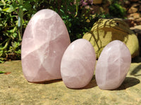 Polished Rose Quartz Standing Free Forms x 3 From Madagascar