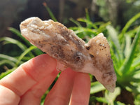 Natural Drusy Quartz Coated Calcite Pseudomorph Specimens x 12 From Alberts Mountain, Lesotho