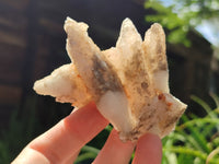 Natural Drusy Quartz Coated Calcite Pseudomorph Specimens x 12 From Alberts Mountain, Lesotho