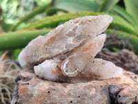 Natural Drusy Quartz Coated Calcite Pseudomorph Specimens x 12 From Alberts Mountain, Lesotho