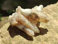 Natural Drusy Quartz Coated Calcite Pseudomorph Specimens x 12 From Alberts Mountain, Lesotho