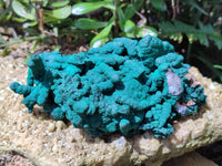 Natural Malachite Stalactite Specimen x 1 From Kolwezi, Congo