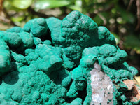 Natural Malachite Stalactite Specimen x 1 From Kolwezi, Congo