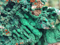 Natural Malachite Stalactite Specimen x 1 From Kolwezi, Congo