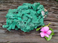 Natural Malachite Stalactite Specimen x 1 From Kolwezi, Congo