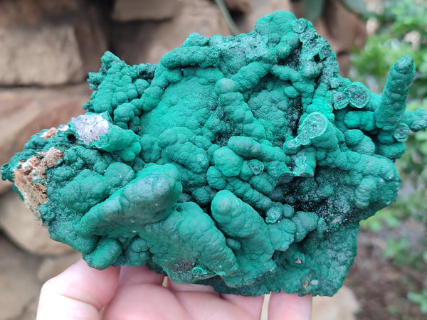 Natural Malachite Stalactite Specimen x 1 From Kolwezi, Congo