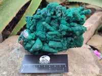 Natural Malachite Stalactite Specimen x 1 From Kolwezi, Congo