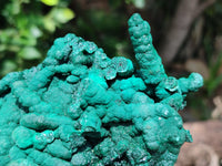 Natural Malachite Stalactite Specimen x 1 From Kolwezi, Congo