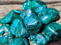 Polished Dioptase With Shattuckite and Malachite Free Forms - sold per item - From Congo