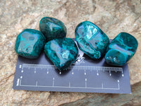 Polished Dioptase With Shattuckite and Malachite Free Forms - sold per item - From Congo