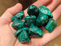 Polished Dioptase With Shattuckite and Malachite Free Forms - sold per item - From Congo