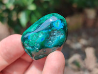 Polished Dioptase With Shattuckite and Malachite Free Forms - sold per item - From Congo