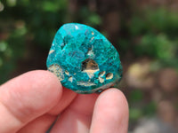 Polished Dioptase With Shattuckite and Malachite Free Forms - sold per item - From Congo