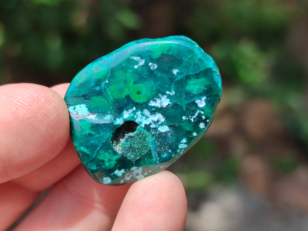 Polished Dioptase With Shattuckite and Malachite Free Forms - sold per item - From Congo