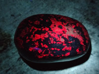 Polished Ruby Corundum In Chrome Verdite Free Forms x 6 From Zimbabwe