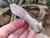 Natural Drusy Quartz Coated Calcite Pseudomorph Specimens x 12 From Alberts Mountain, Lesotho