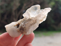 Natural Drusy Quartz Coated Calcite Pseudomorph Specimens x 12 From Alberts Mountain, Lesotho