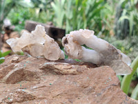 Natural Drusy Quartz Coated Calcite Pseudomorph Specimens x 12 From Alberts Mountain, Lesotho