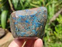 Polished Shattuckite With Chrysocolla and Azurite Free Forms x 6 From Congo