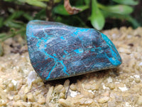 Polished Shattuckite With Chrysocolla and Azurite Free Forms x 6 From Congo