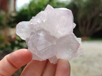 Natural Cactus Flower Spirit Quartz Clusters x 12 From South Africa