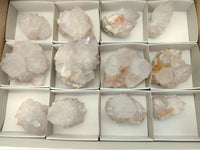 Natural Cactus Flower Spirit Quartz Clusters x 12 From South Africa