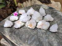 Natural Cactus Flower Spirit Quartz Clusters x 12 From South Africa