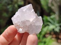 Natural Cactus Flower Spirit Quartz Clusters x 12 From South Africa