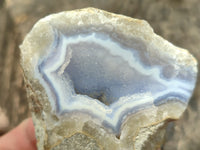 Polished Blue Lace Agate Geodes x 12 From Nsanje, Malawi