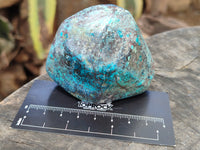 Polished Shattuckite With Chrysocolla and Azurite Free Forms x 6 From Congo