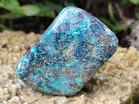 Polished Shattuckite With Chrysocolla and Azurite Free Forms x 6 From Congo