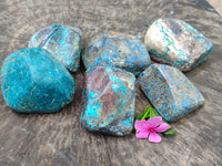 Polished Shattuckite With Chrysocolla and Azurite Free Forms x 6 From Congo