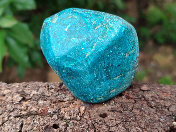 Polished Shattuckite With Chrysocolla and Azurite Free Forms x 6 From Congo