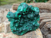 Natural Silky Malachite Specimens x 6 From Kasompe, Congo