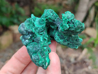 Natural Silky Malachite Specimens x 6 From Kasompe, Congo