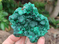 Natural Silky Malachite Specimens x 6 From Kasompe, Congo