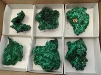 Natural Silky Malachite Specimens x 6 From Kasompe, Congo