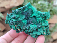 Natural Silky Malachite Specimens x 6 From Kasompe, Congo