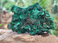 Natural Silky Malachite Specimens x 6 From Kasompe, Congo