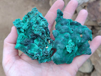 Natural Silky Malachite Specimens x 6 From Kasompe, Congo