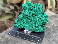 Natural Silky Malachite Specimens x 6 From Kasompe, Congo