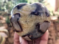 Polished Septerye Hearts x 12 From Mahajanga, Madagascar