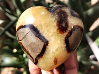 Polished Septerye Hearts x 12 From Mahajanga, Madagascar