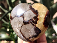 Polished Septerye Hearts x 12 From Mahajanga, Madagascar