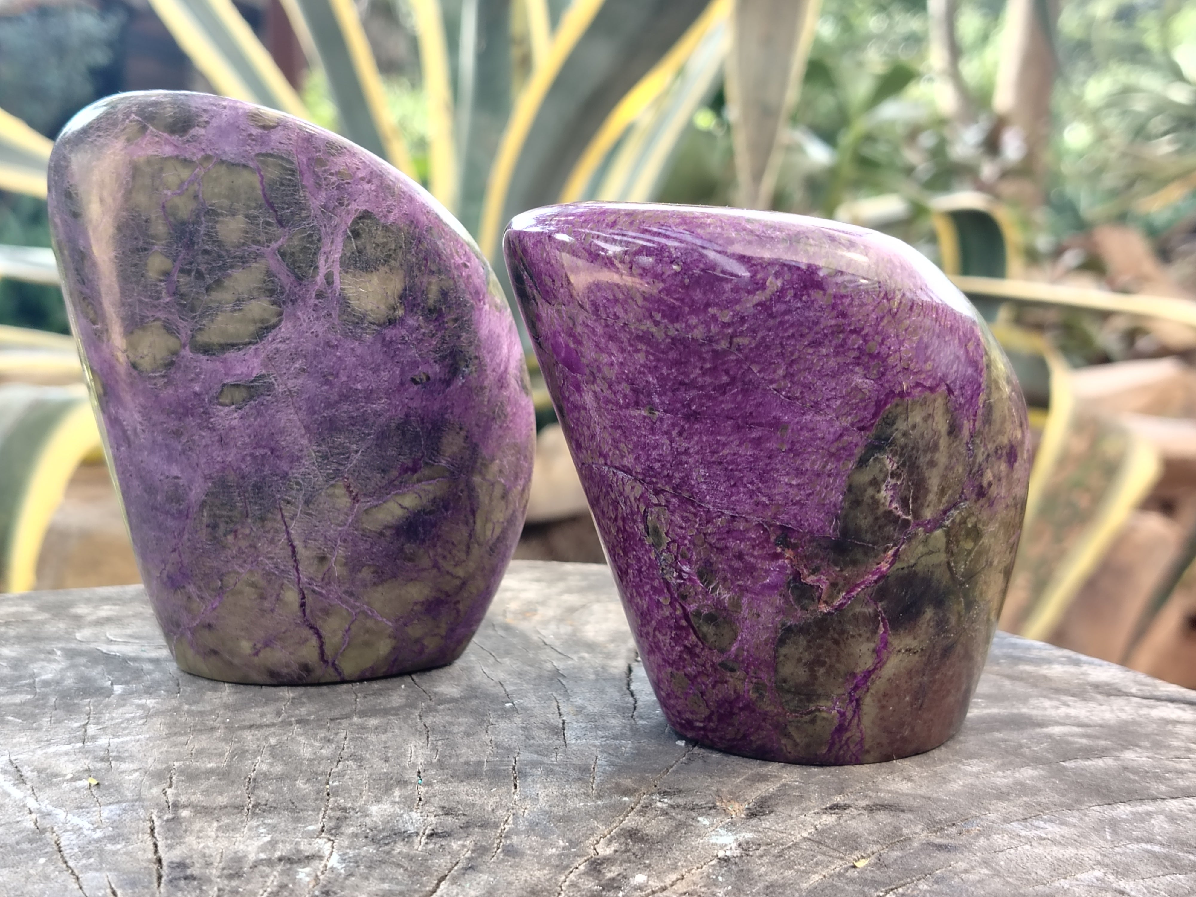 Polished Stichtite Standing Free Forms x 2 From Barberton, South Africa