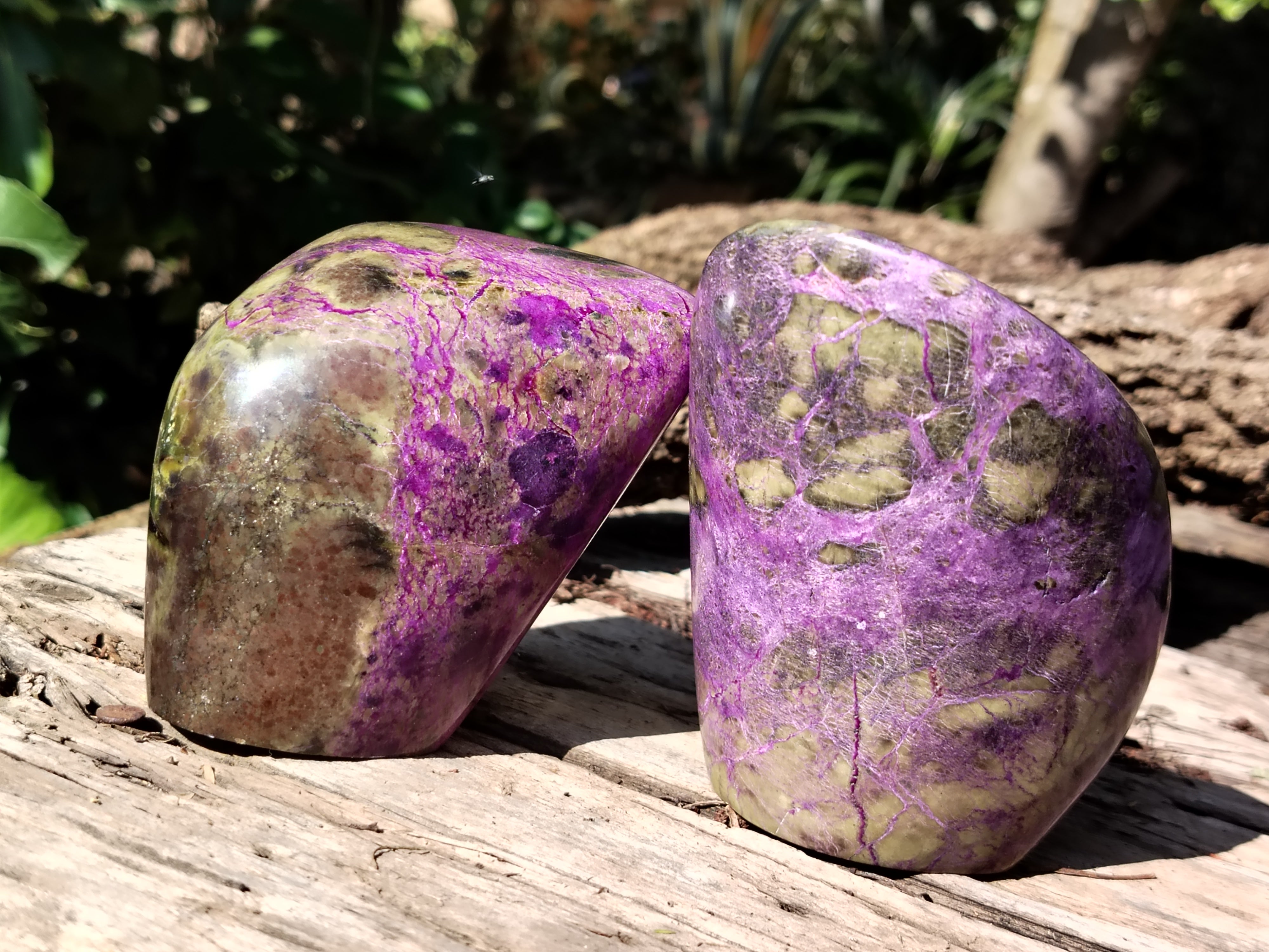 Polished Stichtite Standing Free Forms x 2 From Barberton, South Africa