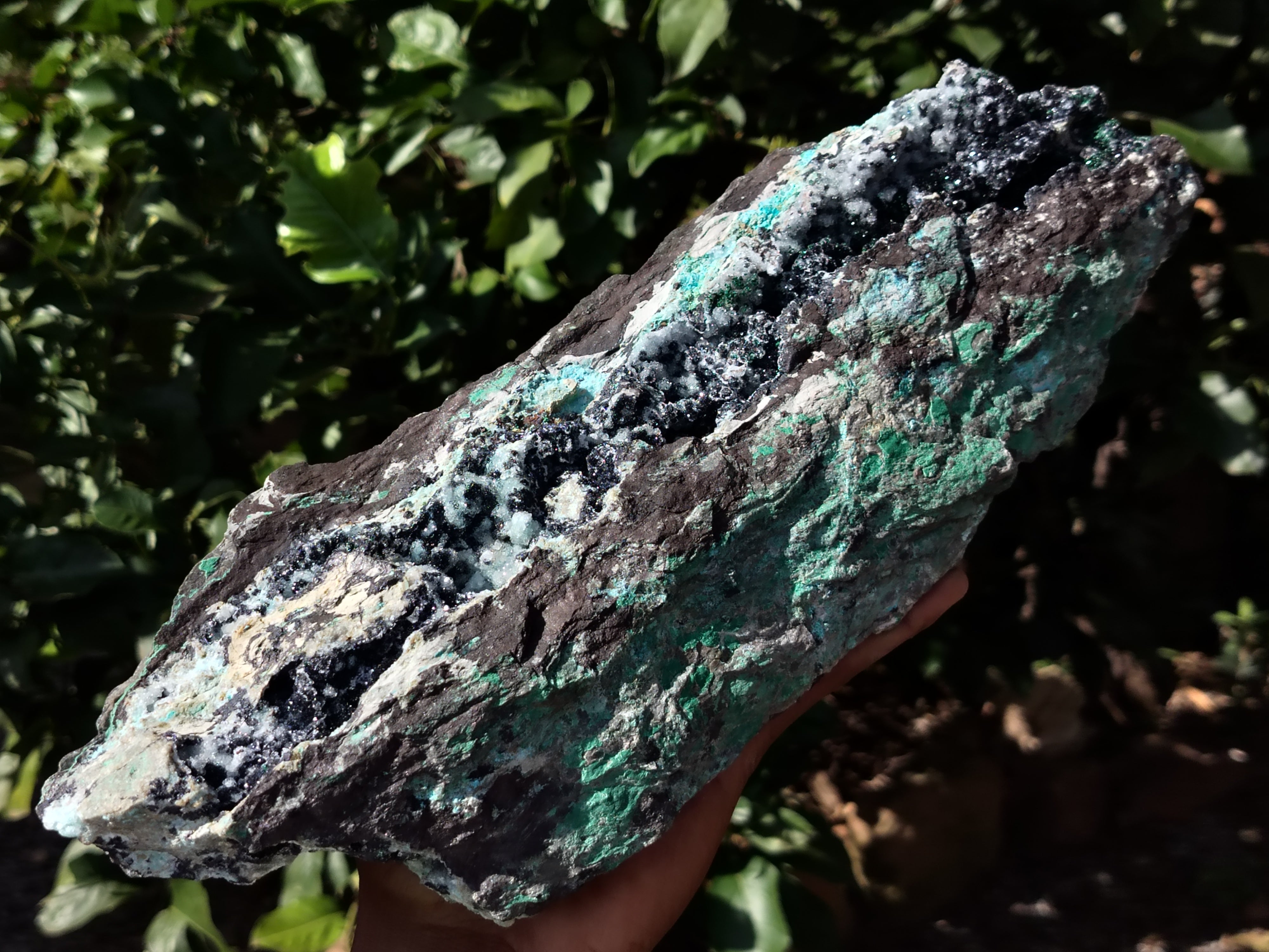 Natural Chrysocolla Specimen x 1 From Congo