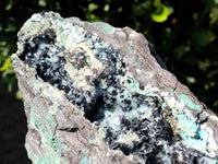 Natural Chrysocolla Specimen x 1 From Congo