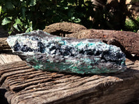 Natural Chrysocolla Specimen x 1 From Congo